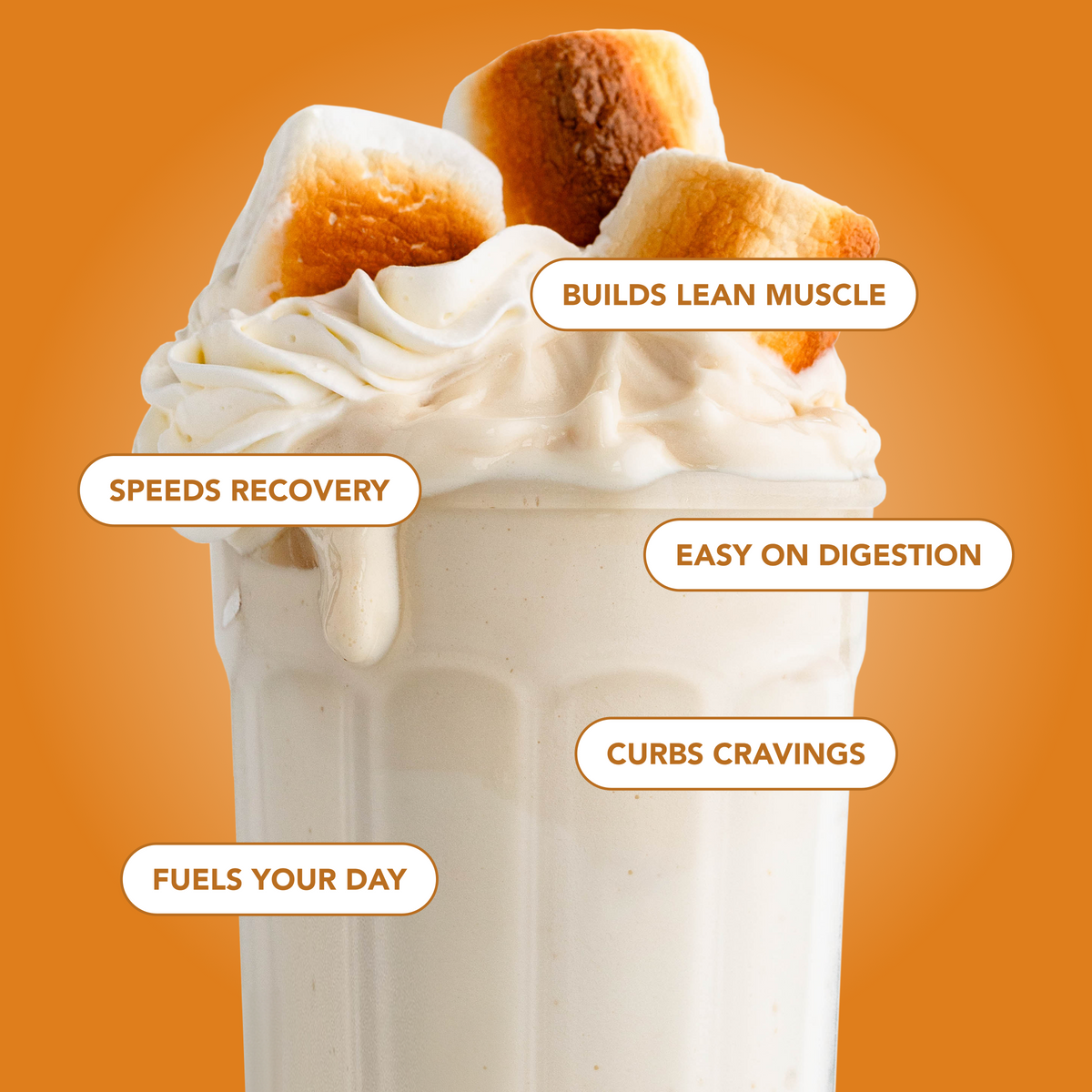 Protein Powder: Toasted Marshmallow (20 Serving Bag)